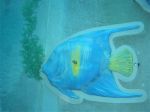 Fisch